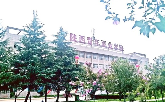 陕西青年职业学院简介